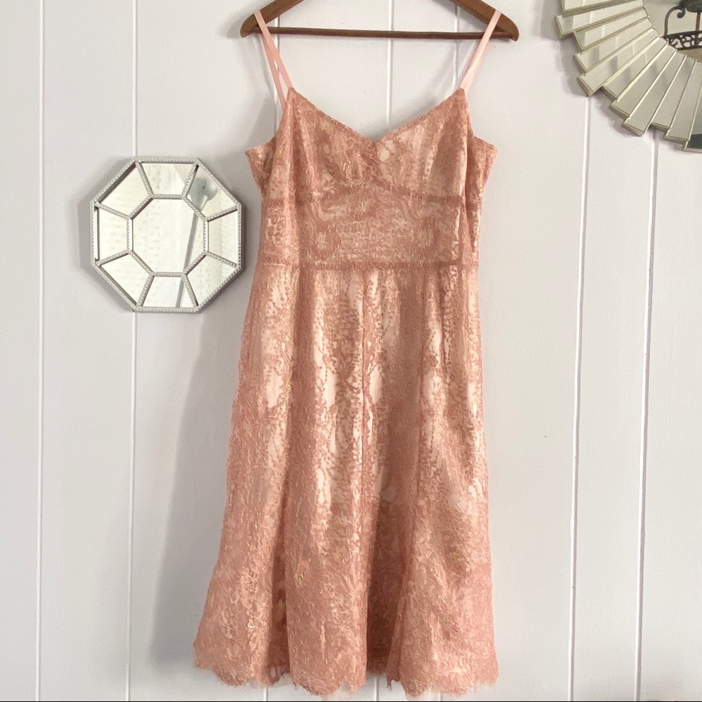 Y2K Dress Vibe Ann Taylor Lace Nude Pink Metallic V-neck Dress 6